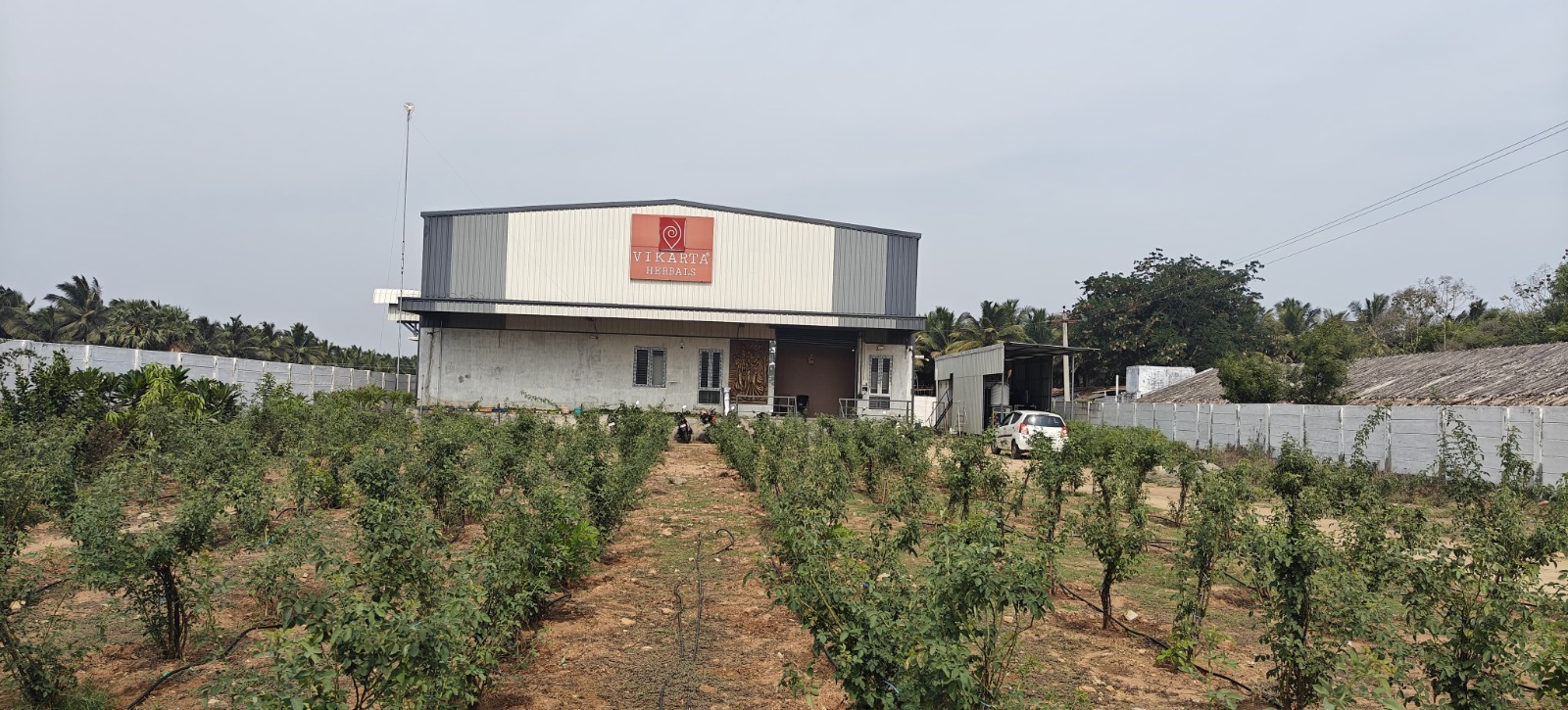 Vikarta Herbals Products